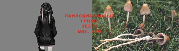 герыч Абдулино