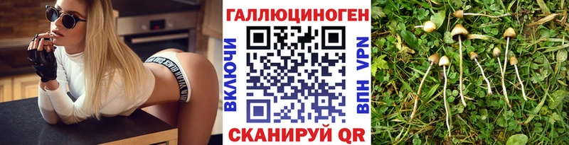 Галлюциногенные грибы Magic Shrooms  закладки  Хадыженск 